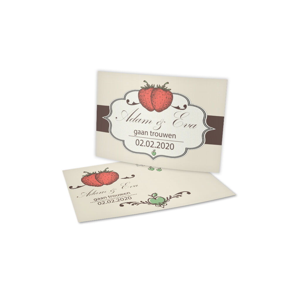 inlegkaarten pocketfold mapjes